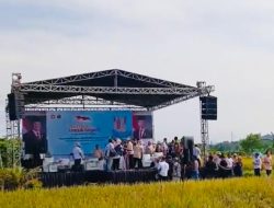 Petani Bangkit Pangan 753 Hektar PS-08 Di Panen Sertak di Padeglang
